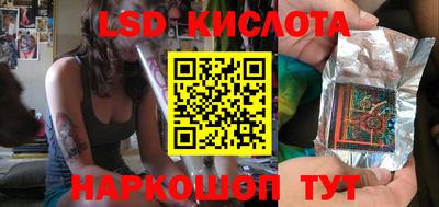 СК Кингисепп