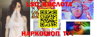 СК Кингисепп