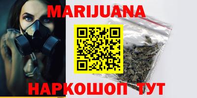 СК Кингисепп