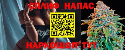 СК Кингисепп