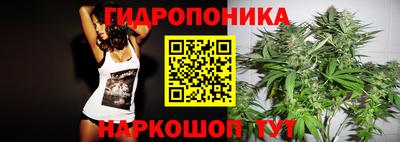 ГАЛЛЮЦИНОГЕННЫЕ ГРИБЫ Кинель